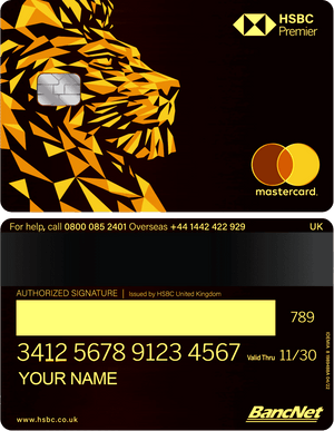 Premium HSBC Lion metal card with modern and high-end luxury finish